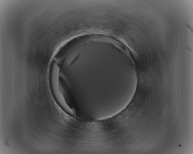 X0000091711508200709210932