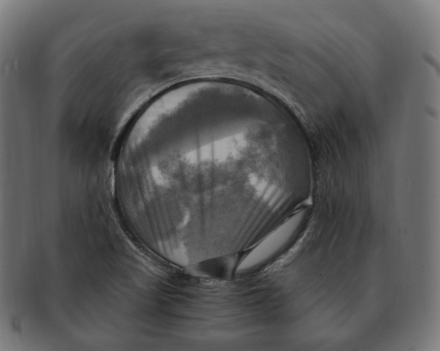 X0000091711509200709210932