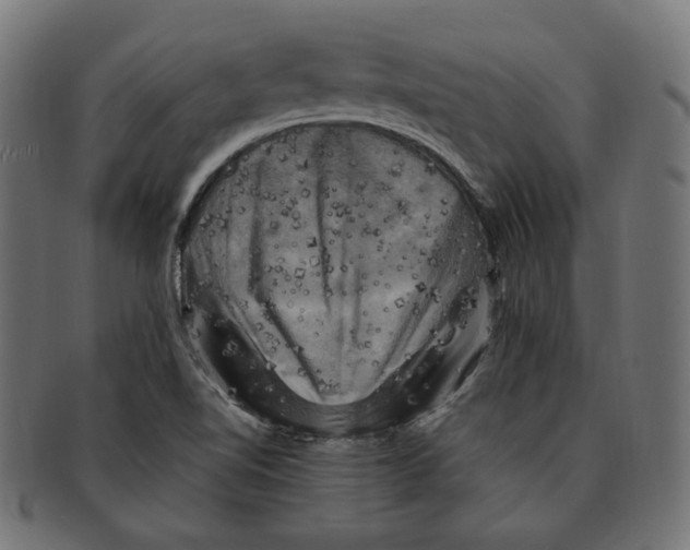 X0000091711510200709210932
