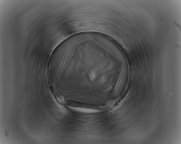 X0000091711513200709210932