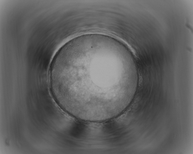 X0000091711514200709210932