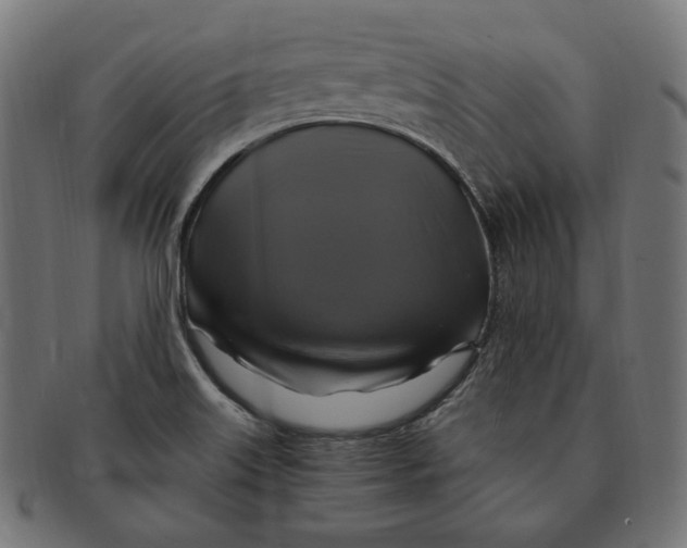 X0000091711515200709210932