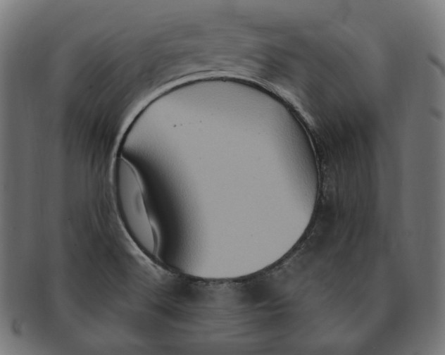 X0000091711516200709210932