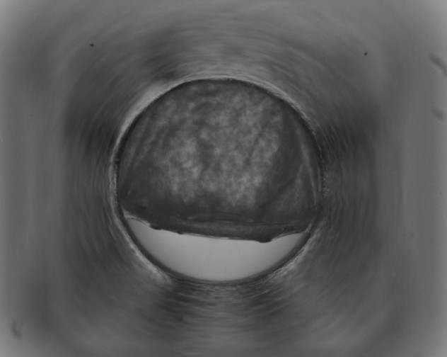 X0000091711517200709210932