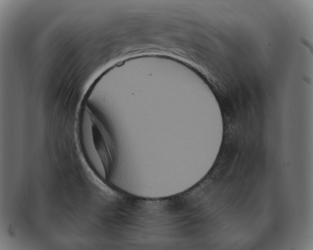 X0000091711518200709210932