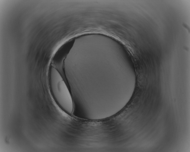 X0000091711519200709210932