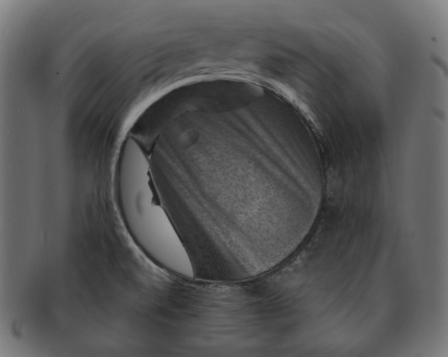 X0000091711520200709210932