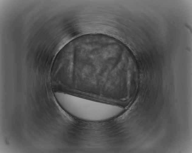 X0000091711521200709210932