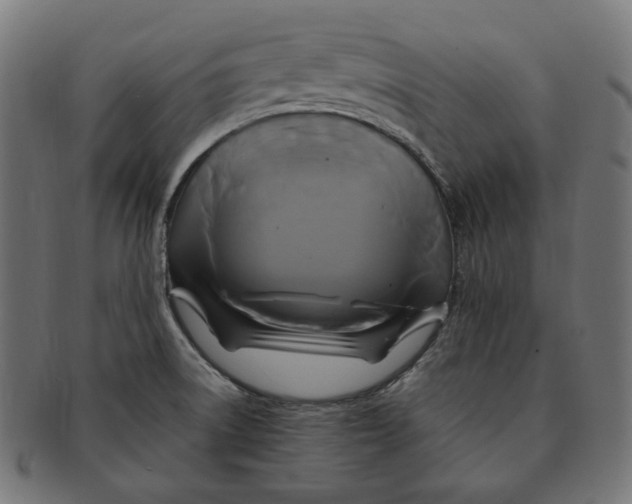 X0000091711522200709210932