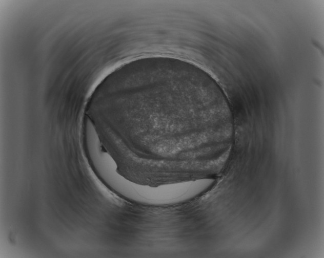 X0000091711523200709210932