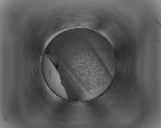 X0000091711524200709210932