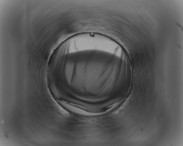 X0000091711525200709210932