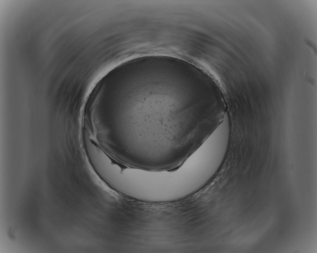 X0000091711528200709210932