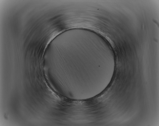 X0000091711529200709210932