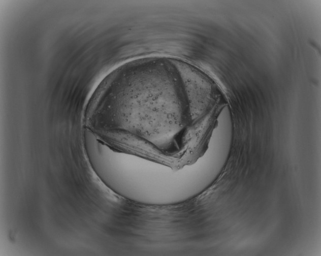 X0000091711532200709210932