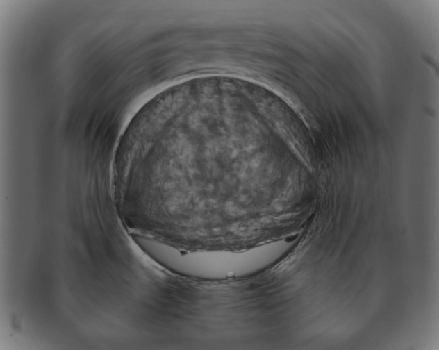 X0000091711535200709210932