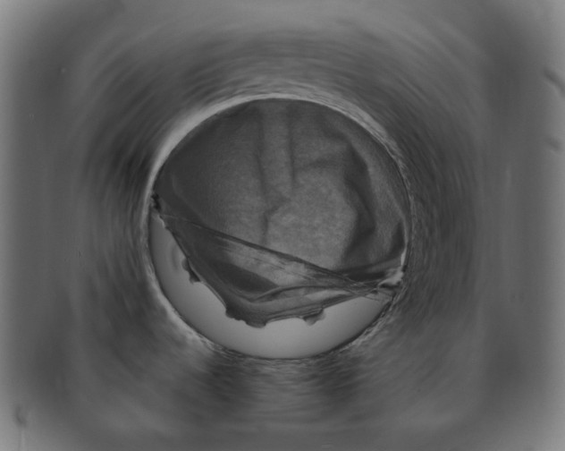 X0000091711536200709210932