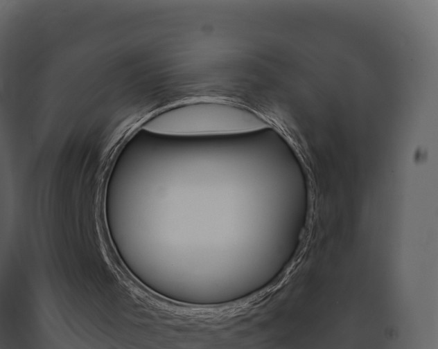 X0000091720001200708241031