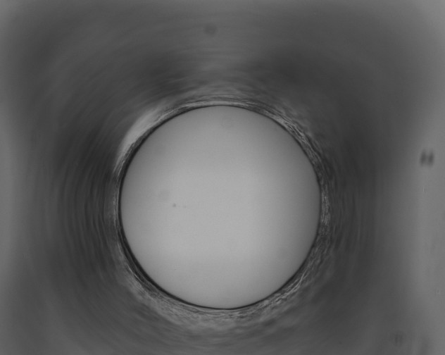 X0000091720004200708241031