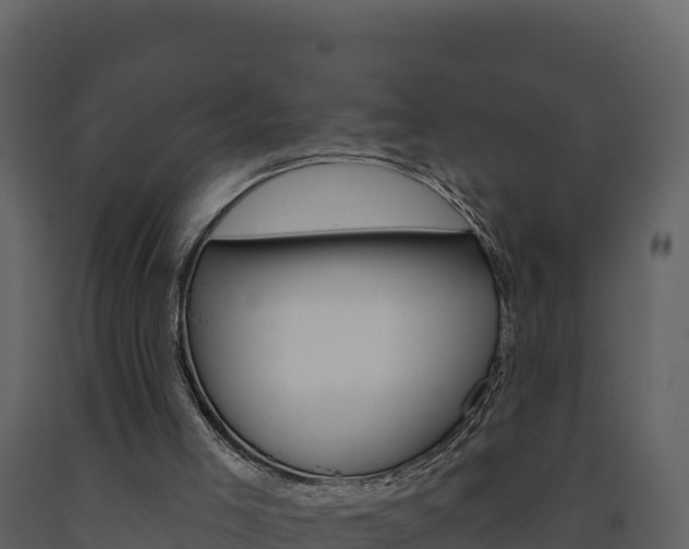 X0000091720005200708241031