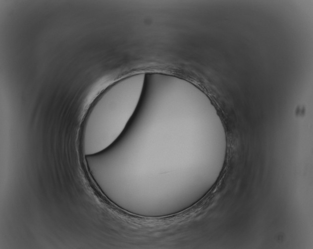 X0000091720006200708241031