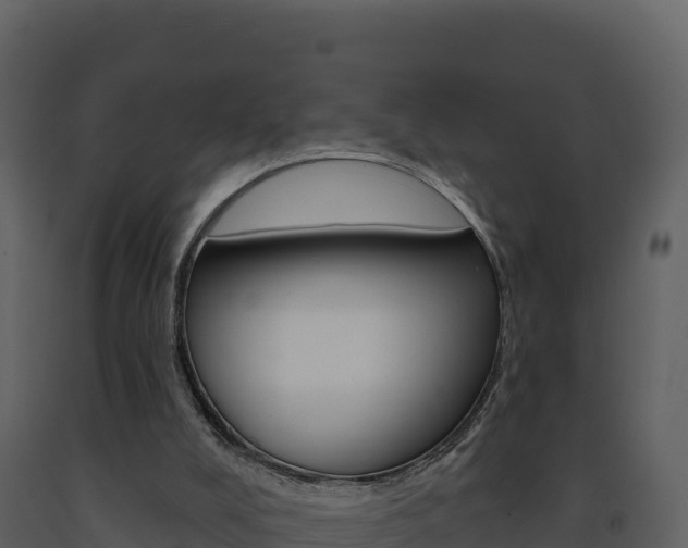 X0000091720008200708241031