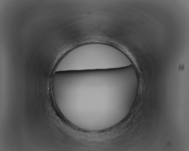 X0000091720010200708241031