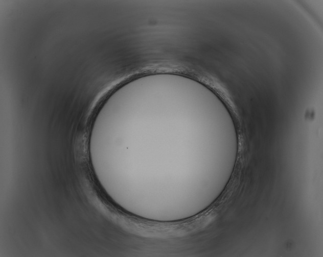 X0000091720012200708241031