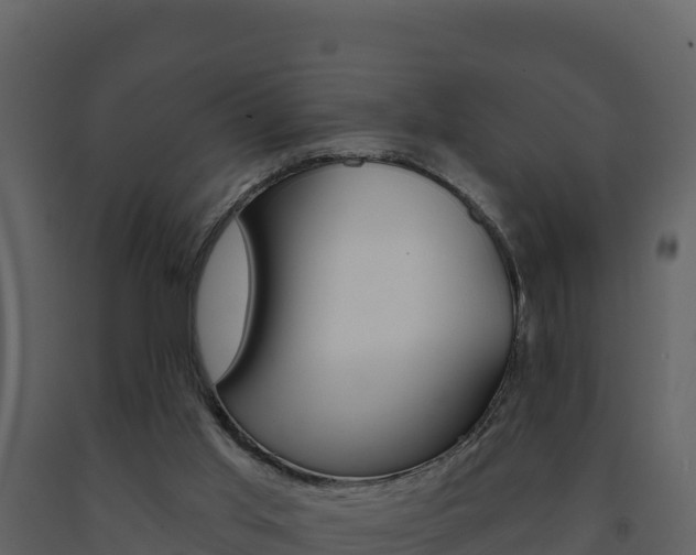 X0000091720013200708241031