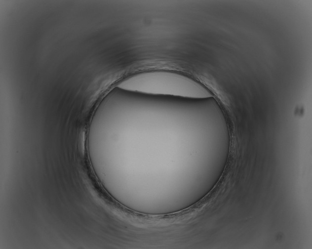 X0000091720014200708241031