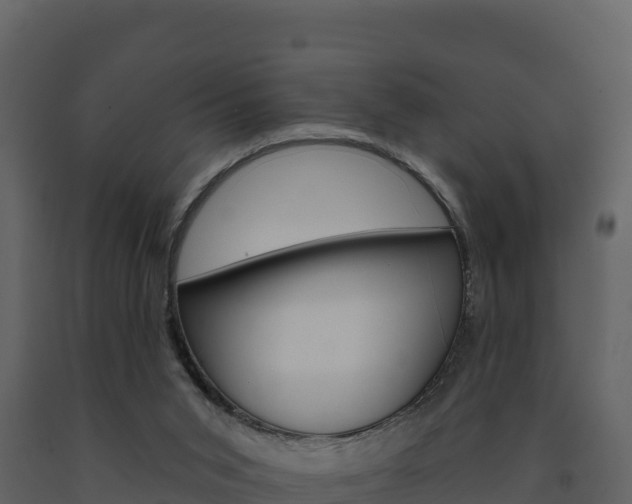 X0000091720015200708241031