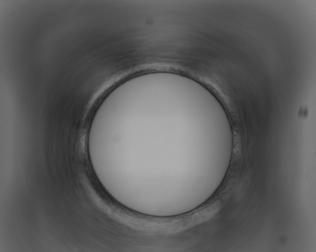 X0000091720016200708241031