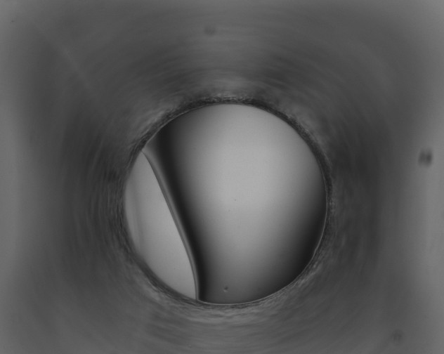 X0000091720017200708241031