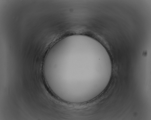 X0000091720018200708241031
