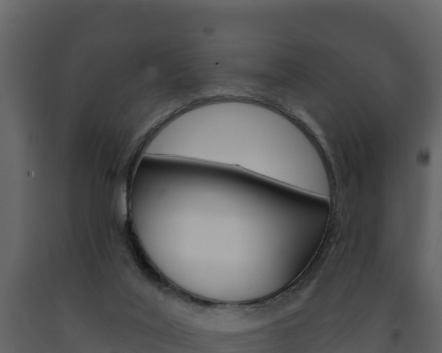 X0000091720020200708241030