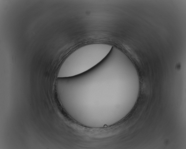 X0000091720026200708241030