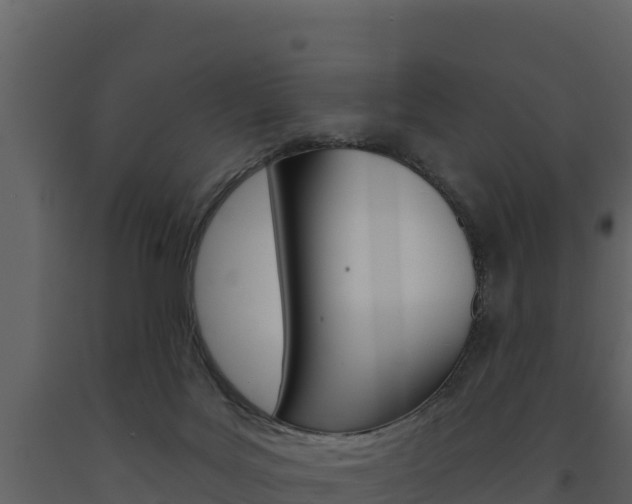 X0000091720027200708241030