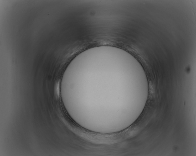 X0000091720028200708241030