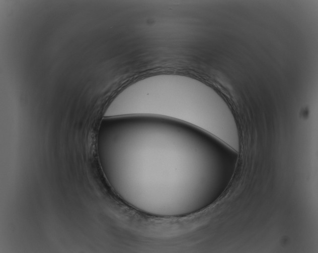 X0000091720029200708241030