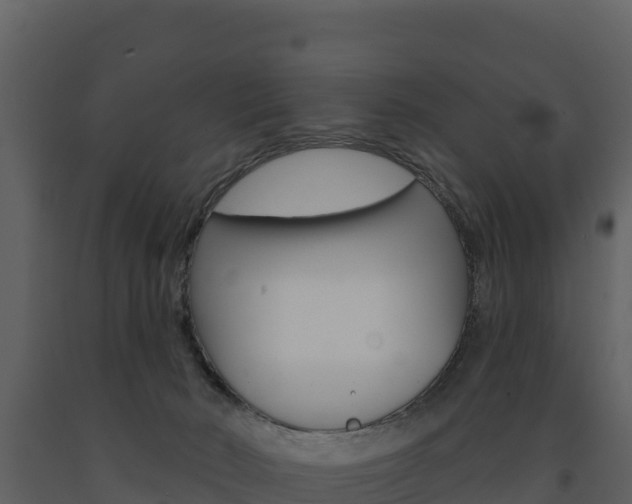 X0000091720030200708241030