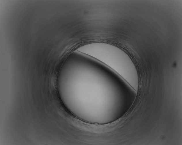 X0000091720035200708241030