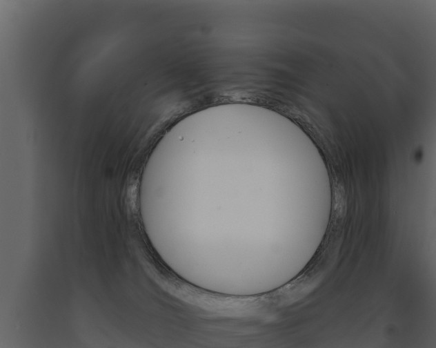 X0000091720036200708241030