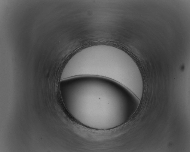 X0000091720039200708241030