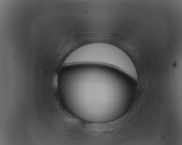 X0000091720041200708241030