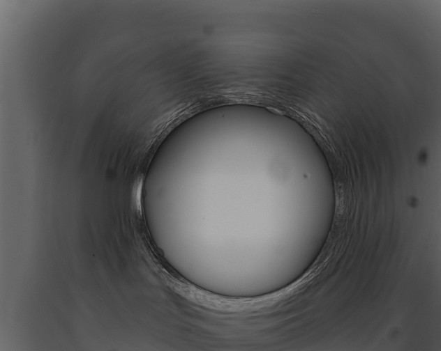 X0000091720047200708241030