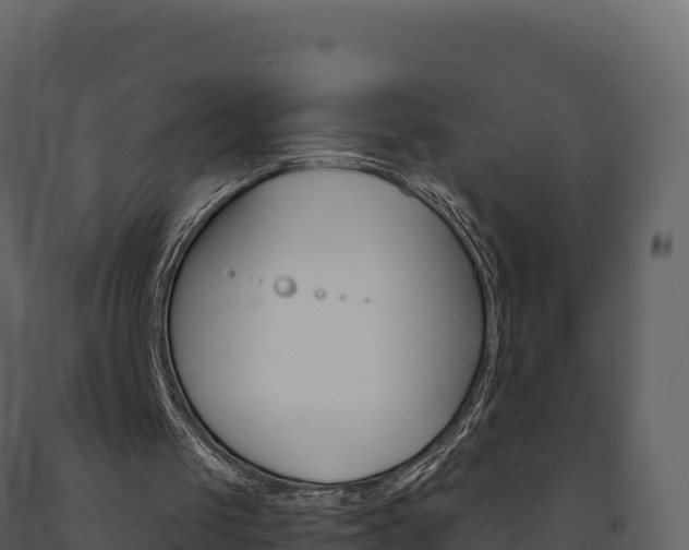 X0000091720049200708241029