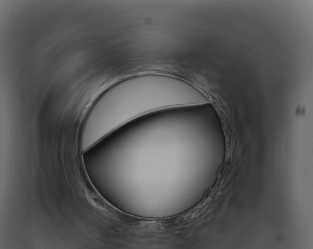 X0000091720050200708241029