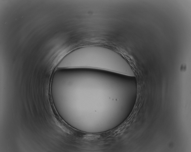 X0000091720051200708241029