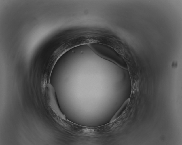 X0000091720052200708241029