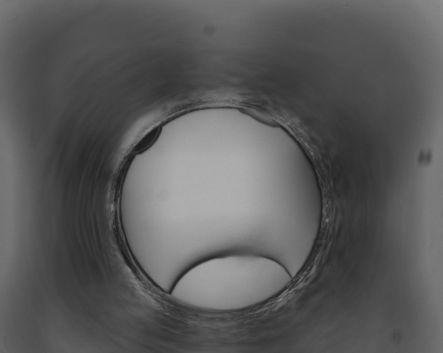 X0000091720053200708241029